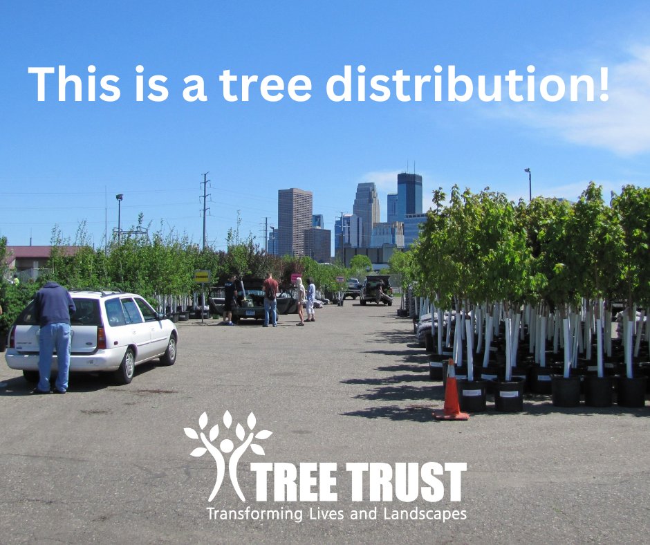 Trees Resilient Cities And Communities Trees Resilient Cities And Communities